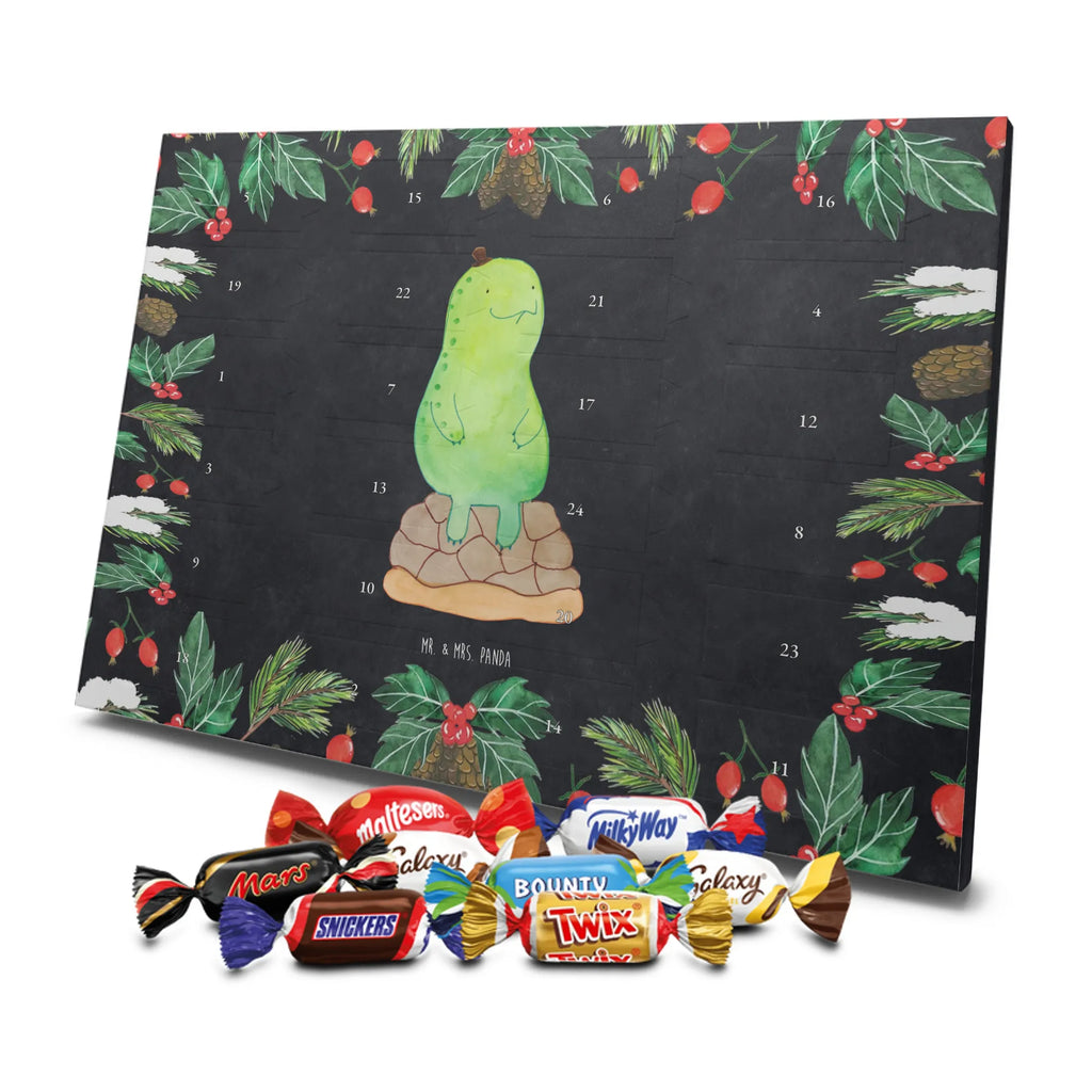 Chocolate advent calendar tortoise Break reptile, sister or daughter, sweet, gift ideas, tortoise, turtle gift items, illustrated, best friend, gift, turtle lover, pet turtles, funny turtle gifts, ancient creature, cute, birthday gift, mindful, decelerate