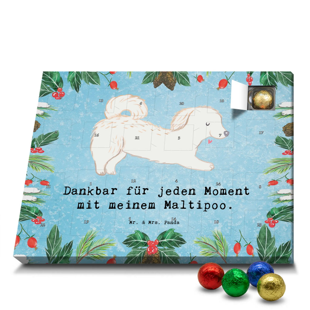 Adventskalender Maltipoo Moment weihnachtskalender schoko, adventskalender süßigkeiten, pralinen adventskalender, schokoladen kalender, Adventskalender, schoko weihnachtskalender, schokokalender, adventskalender mit schokolade, schokolade adventskalender, adventskalender mit pralinen, Weihnachtskalender Schokolade, Weihnachtskalender, adventskalender pralinen, Schokoladen Adventskalender, kalender schokolade, schoko kalender, Adventskalender Schokolade, advent kalender, Schoko Adventskalender, süßigkeiten adventskalender, adventskalender mit süßigkeiten, süßigkeiten kalender, schokoladenkalender, Welpe, Tierfreund, Hundebesitzer, Rassehund, Hunderasse, Hund, Schenken, Geschenk, Kreuzung, Maltipoo, Mischling