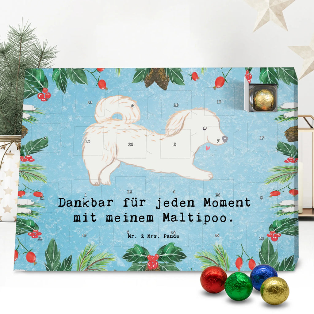 Adventskalender Maltipoo Moment weihnachtskalender schoko, adventskalender süßigkeiten, pralinen adventskalender, schokoladen kalender, Adventskalender, schoko weihnachtskalender, schokokalender, adventskalender mit schokolade, schokolade adventskalender, adventskalender mit pralinen, Weihnachtskalender Schokolade, Weihnachtskalender, adventskalender pralinen, Schokoladen Adventskalender, kalender schokolade, schoko kalender, Adventskalender Schokolade, advent kalender, Schoko Adventskalender, süßigkeiten adventskalender, adventskalender mit süßigkeiten, süßigkeiten kalender, schokoladenkalender, Welpe, Tierfreund, Hundebesitzer, Rassehund, Hunderasse, Hund, Schenken, Geschenk, Kreuzung, Maltipoo, Mischling