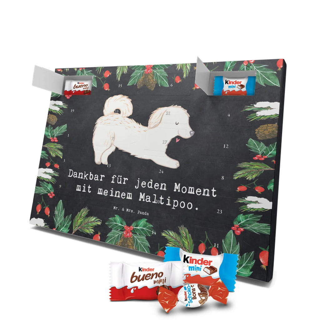 Adventskalender Maltipoo Moment weihnachtskalender schoko, adventskalender süßigkeiten, pralinen adventskalender, schokoladen kalender, Adventskalender, schoko weihnachtskalender, schokokalender, adventskalender mit schokolade, schokolade adventskalender, adventskalender mit pralinen, Weihnachtskalender Schokolade, Weihnachtskalender, adventskalender pralinen, Schokoladen Adventskalender, kalender schokolade, schoko kalender, Adventskalender Schokolade, advent kalender, Schoko Adventskalender, süßigkeiten adventskalender, adventskalender mit süßigkeiten, süßigkeiten kalender, schokoladenkalender, Welpe, Tierfreund, Hundebesitzer, Rassehund, Hunderasse, Hund, Schenken, Geschenk, Kreuzung, Maltipoo, Mischling