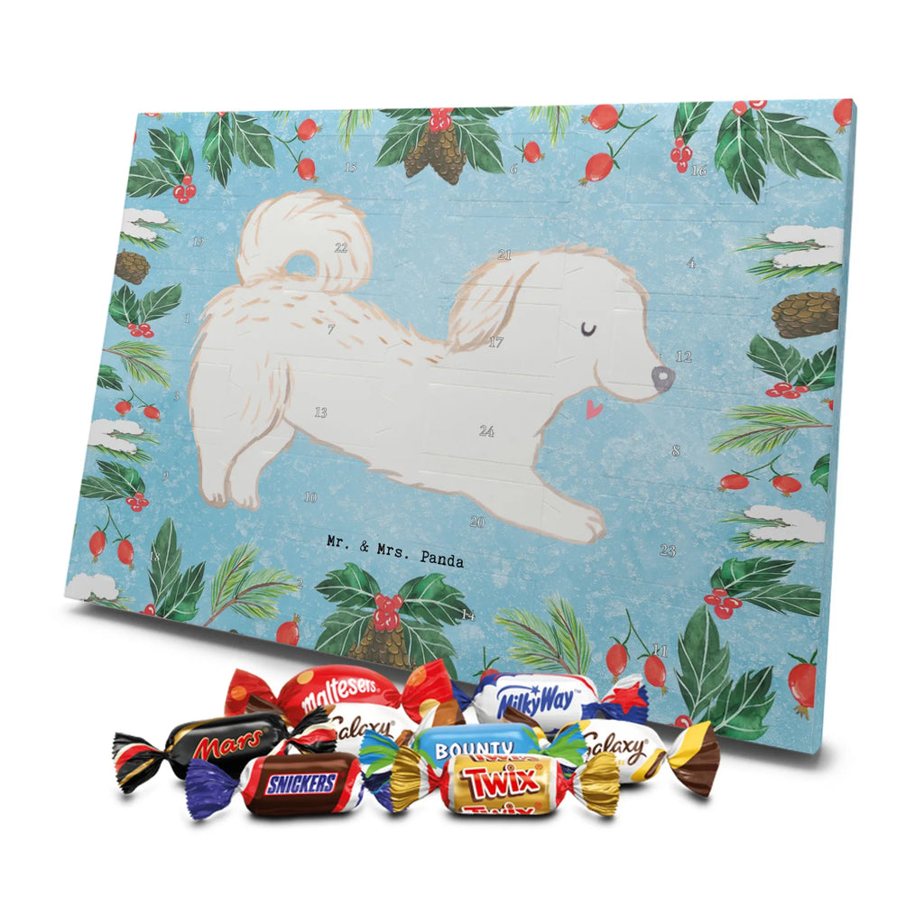 Adventskalender Maltipoo Moment weihnachtskalender schoko, adventskalender süßigkeiten, pralinen adventskalender, schokoladen kalender, Adventskalender, schoko weihnachtskalender, schokokalender, adventskalender mit schokolade, schokolade adventskalender, adventskalender mit pralinen, Weihnachtskalender Schokolade, Weihnachtskalender, adventskalender pralinen, Schokoladen Adventskalender, kalender schokolade, schoko kalender, Adventskalender Schokolade, advent kalender, Schoko Adventskalender, süßigkeiten adventskalender, adventskalender mit süßigkeiten, süßigkeiten kalender, schokoladenkalender, Welpe, Tierfreund, Hundebesitzer, Rassehund, Hunderasse, Hund, Schenken, Geschenk, Kreuzung, Maltipoo, Mischling