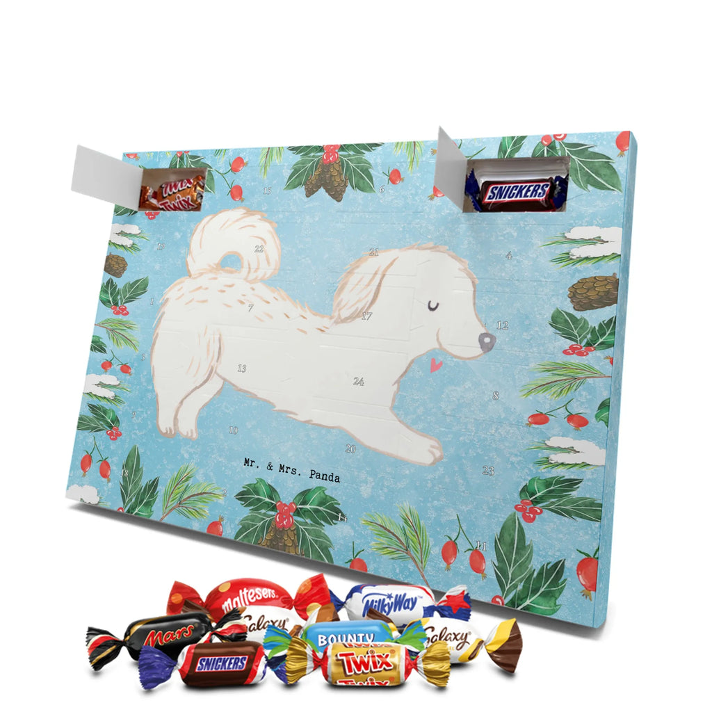 Adventskalender Maltipoo Moment weihnachtskalender schoko, adventskalender süßigkeiten, pralinen adventskalender, schokoladen kalender, Adventskalender, schoko weihnachtskalender, schokokalender, adventskalender mit schokolade, schokolade adventskalender, adventskalender mit pralinen, Weihnachtskalender Schokolade, Weihnachtskalender, adventskalender pralinen, Schokoladen Adventskalender, kalender schokolade, schoko kalender, Adventskalender Schokolade, advent kalender, Schoko Adventskalender, süßigkeiten adventskalender, adventskalender mit süßigkeiten, süßigkeiten kalender, schokoladenkalender, Welpe, Tierfreund, Hundebesitzer, Rassehund, Hunderasse, Hund, Schenken, Geschenk, Kreuzung, Maltipoo, Mischling