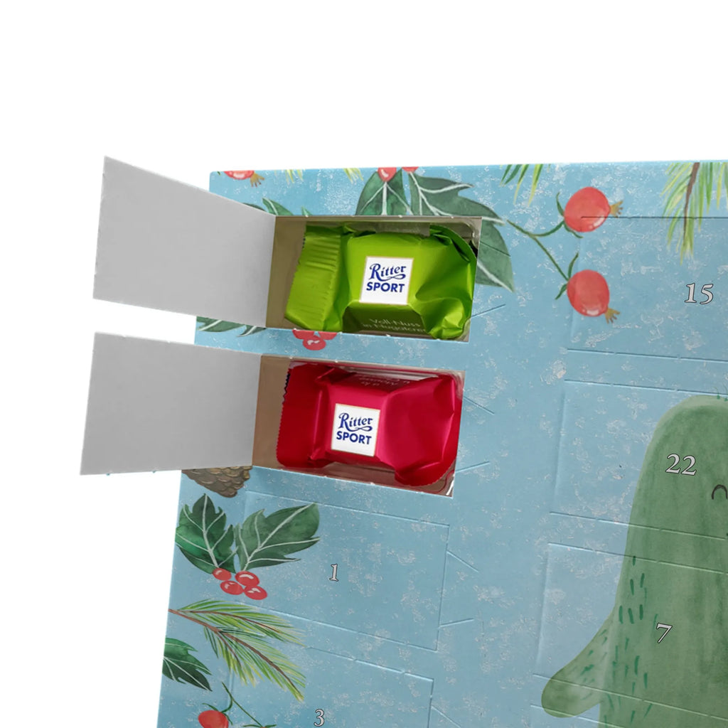 Chocolate advent calendar cactus Love cactus, cactuses, plants, small green cactus, cactus plant, couple, friendship, reconciliation, cactus love, proof of love, quarrel, love message, separation, wedding