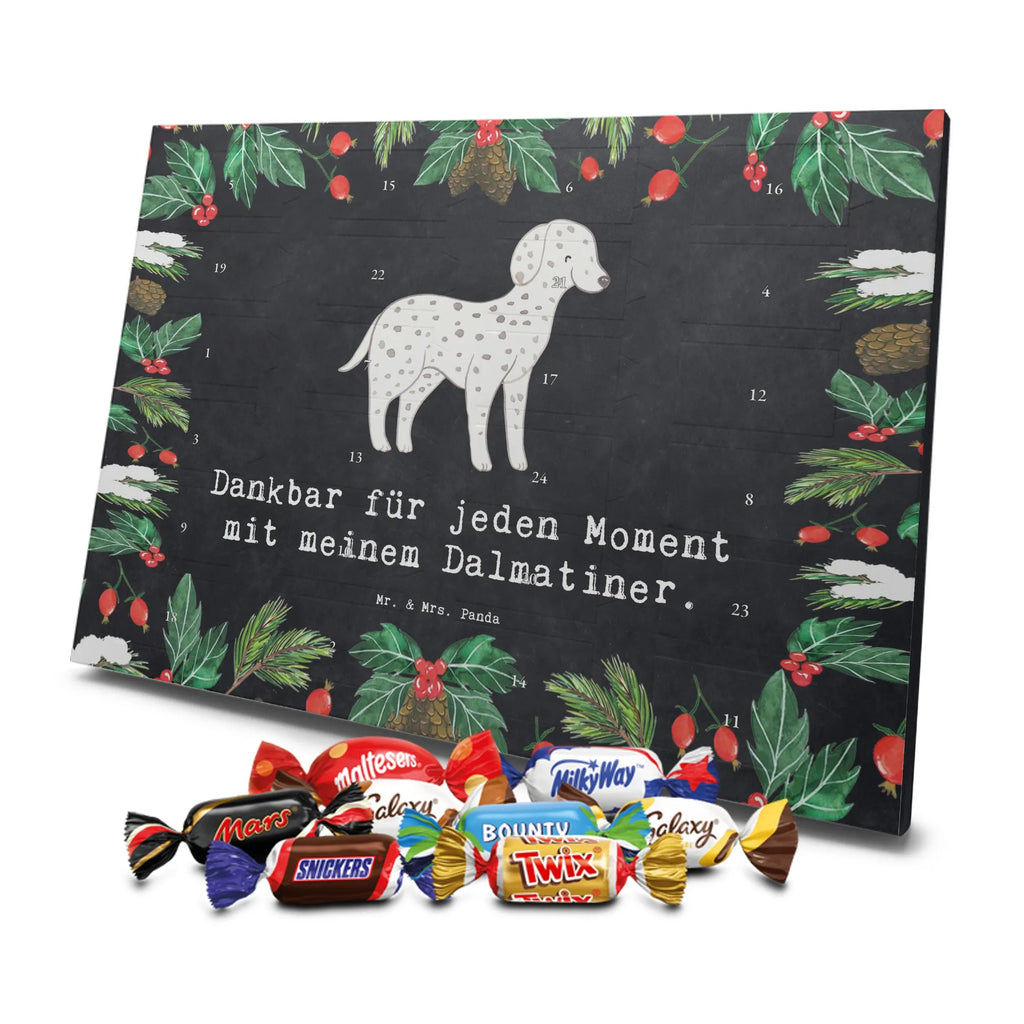 Chocolate advent calendar Dalmatian moment puppy, dog owner, purebred dog, dog breed, giving, animal lover, gift