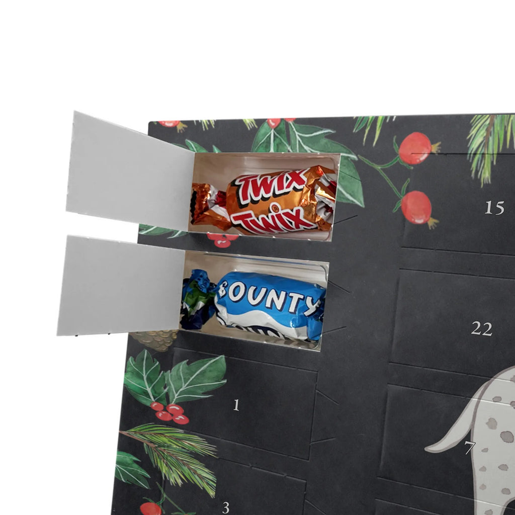 Chocolate advent calendar Dalmatian moment puppy, dog owner, purebred dog, dog breed, giving, animal lover, gift