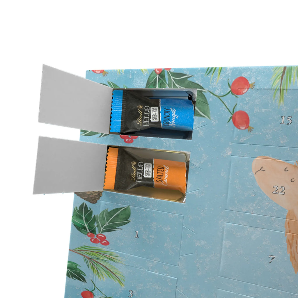 Chocolate advent calendar lama rainbow Llama, alpaca, trendy animal, Freedom, Cloud country, Outsider, School, Rainbow, Self-employed