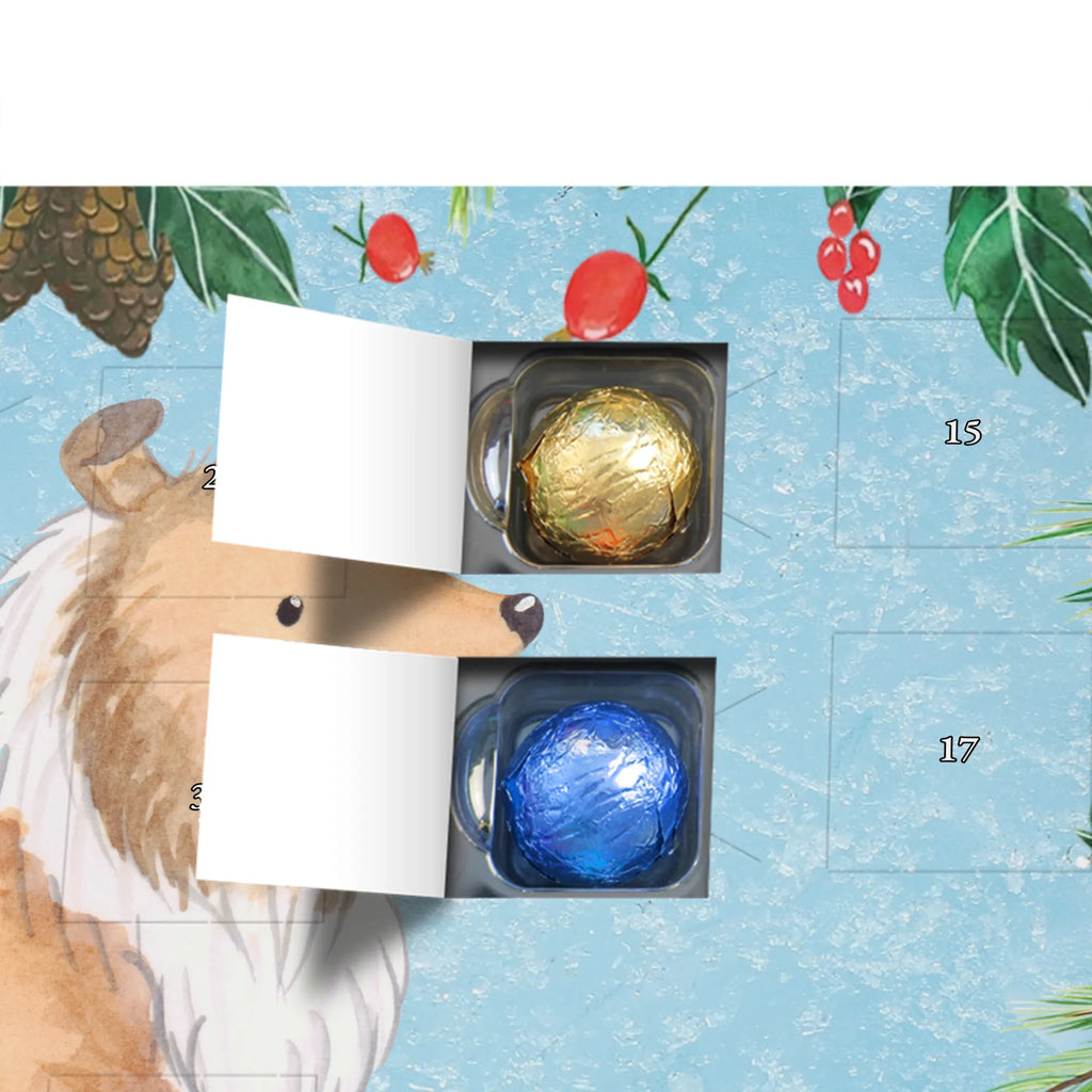 Adventskalender Langhaar Collie Moment duftkerzenkalender, raumduft adventskalender, adventskalender duftkerzen, Weihnachtskalender, adventskerzen kalender, duft kalender, Adventskalender, Kerzen Adventskalender, adventskalender kerzen, duft adventskalender, weihnachts adventskalender, advent kalender, adventskalender mit duftkerzen, Duftkerzen Adventskalender, aroma adventskalender, adventskalender mit kerzen, kerzenkalender, Hund, Welpe, Tierfreund, Hundebesitzer, Rassehund, Hunderasse, Schenken, Geschenk, Langhaar Collie, Britischer Hütehund