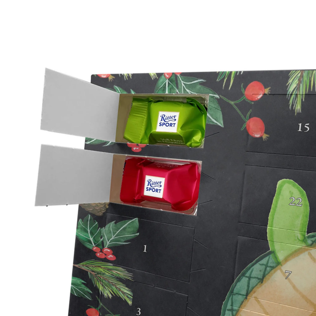  żółwie para przyjaciel, dzień ślubu, żona, prezent miłosny, rocznica, zaręczyny, mąż, Miłość, prośba o rękę, wesele, przyjaciółka