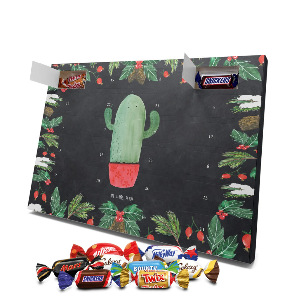Chocolate advent calendar cactus Fury cactus, cactuses, plants, small green cactus, cactus plant, colleague, angry, annoy, office life, school
