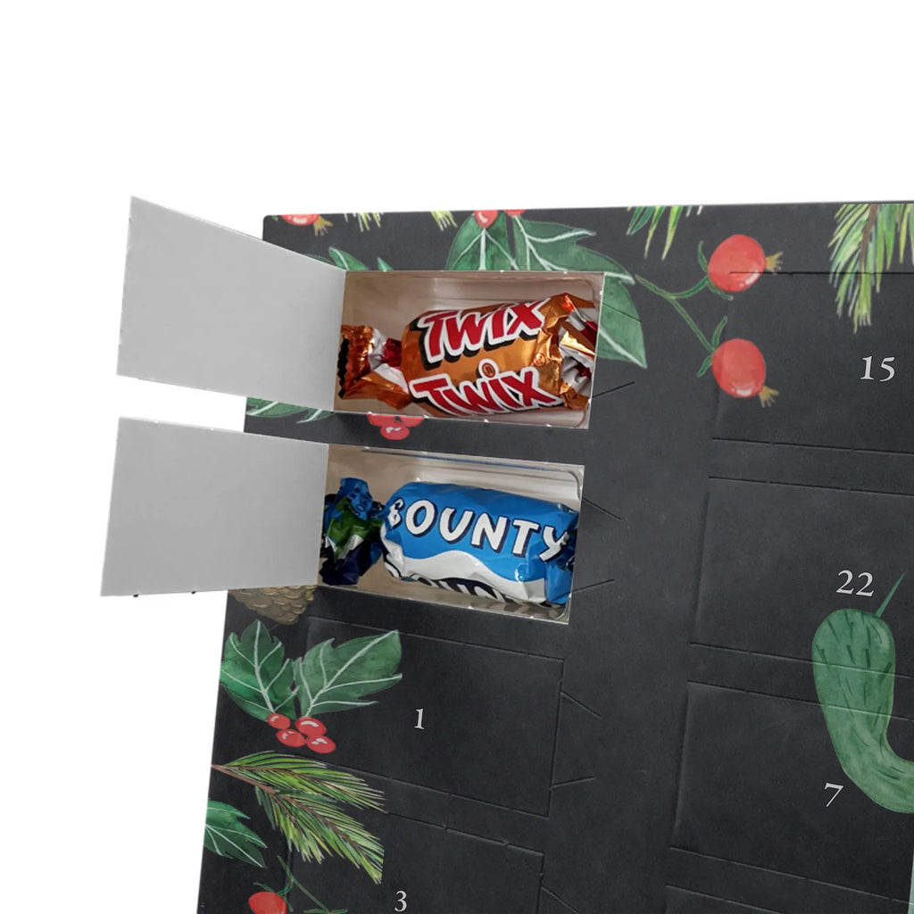 Chocolate advent calendar cactus Fury cactus, cactuses, plants, small green cactus, cactus plant, colleague, angry, annoy, office life, school