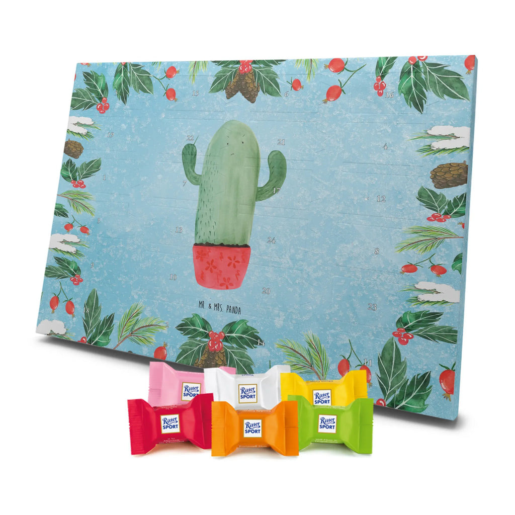 Chocolate advent calendar cactus Fury cactus, cactuses, plants, small green cactus, cactus plant, colleague, angry, annoy, office life, school