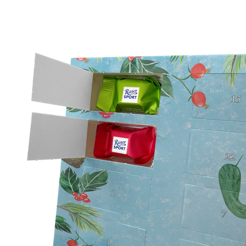 Chocolate advent calendar cactus Fury cactus, cactuses, plants, small green cactus, cactus plant, colleague, angry, annoy, office life, school