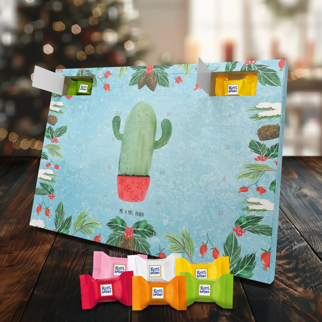 Chocolate advent calendar cactus Fury cactus, cactuses, plants, small green cactus, cactus plant, colleague, angry, annoy, office life, school