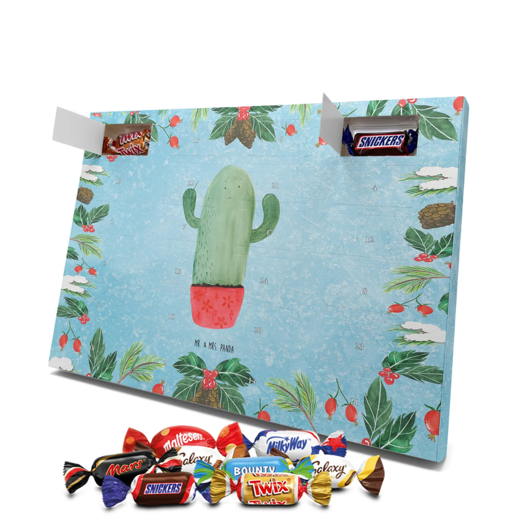 Chocolate advent calendar cactus Fury cactus, cactuses, plants, small green cactus, cactus plant, colleague, angry, annoy, office life, school