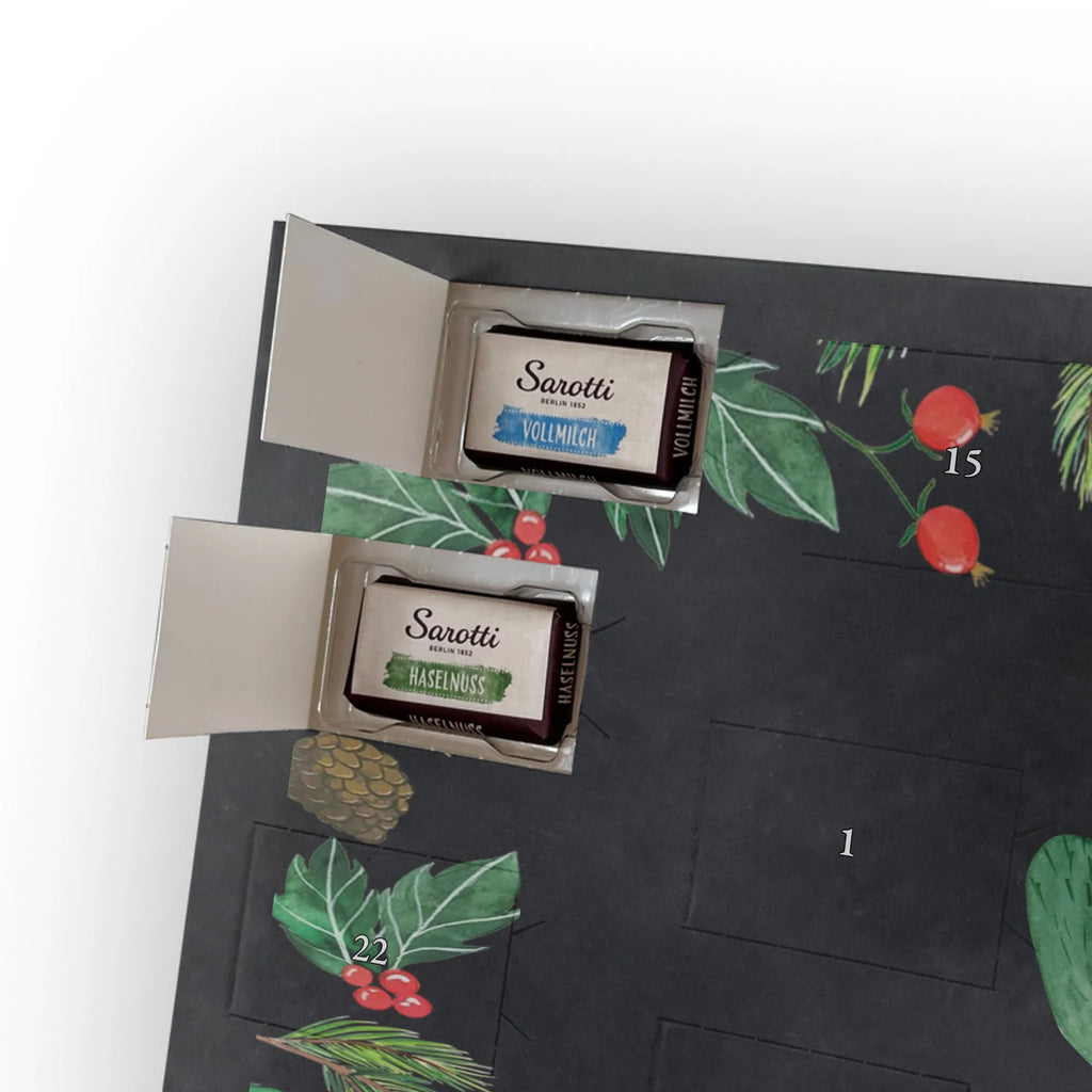 Chocolate advent calendar cactus Fury cactus, cactuses, plants, small green cactus, cactus plant, colleague, angry, annoy, office life, school