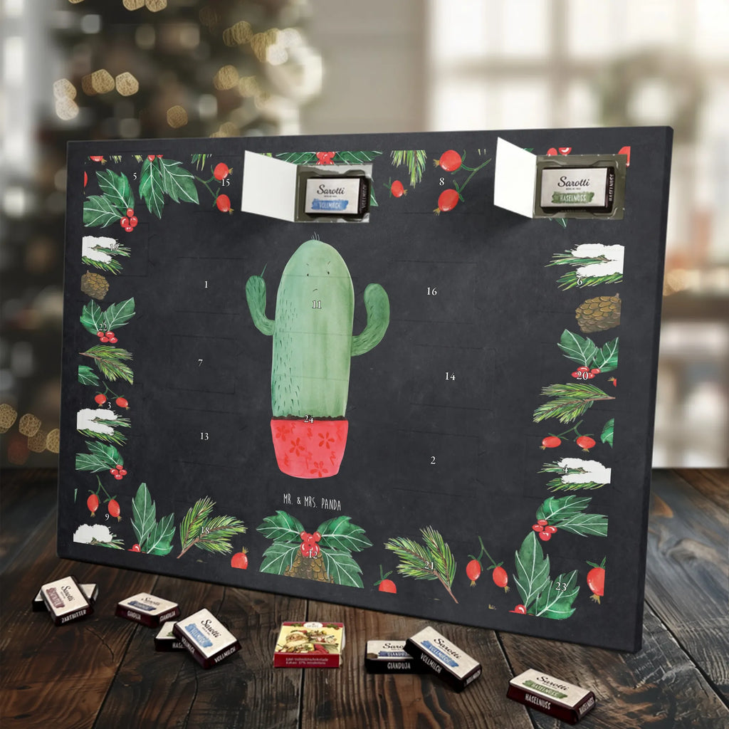 Chocolate advent calendar cactus Fury cactus, cactuses, plants, small green cactus, cactus plant, colleague, angry, annoy, office life, school
