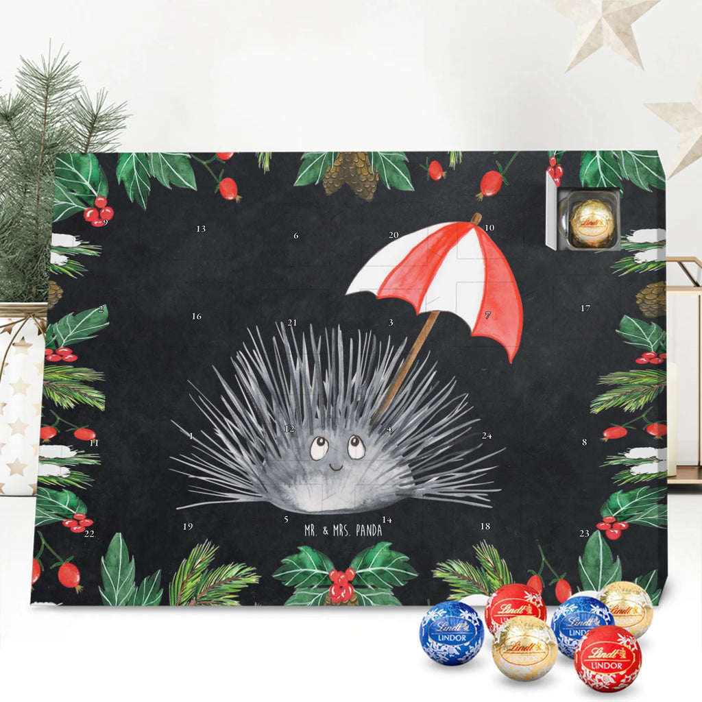 Schokoladen-Adventskalender Seeigel Weihnachtskalender Schokolade, Schokoladen Adventskalender, schoko kalender, Adventskalender Schokolade, schoko weihnachtskalender, Weihnachtskalender, süßigkeiten kalender, schokokalender, kalender schokolade, adventskalender pralinen, Schoko-Adventskalender, schokoladenkalender, schokolade adventskalender, weihnachtskalender schoko, Weihnachts Kalender, süßigkeiten adventskalender, pralinen adventskalender, Schokoladen-Adventskalender, adventskalender süßigkeiten, Adventskalender, Schoko Adventskalender, kalender weihnachten, Weihnachten Adventskalender, Schokoladen-Weihnachtskalender, schokoladen kalender, adventskalender schoko, Urlaub, Meerestiere, Meer, Achtsamkeit, Selbstliebe, Hier und Jetzt, Seeigel, Selbstakzeptanz, Leben, Lebe