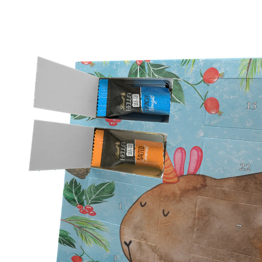 Chocolate advent calendar unicorn Guinea pig guinea pig, squirrels