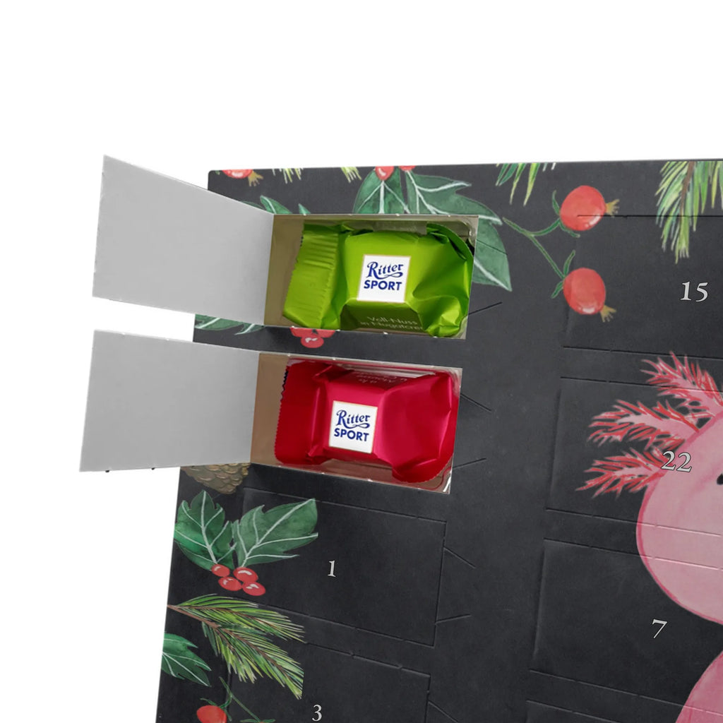 Weihnachtskalender Axolotl Niedlich Schoko-Adventskalender, Weihnachtskalender, schokoladenkalender, adventskalender süßigkeiten, Weihnachts Kalender, adventskalender pralinen, adventskalender schoko, Adventskalender, schoko weihnachtskalender, Schoko Adventskalender, kalender schokolade, kalender weihnachten, schokokalender, schokoladen kalender, weihnachtskalender schoko, pralinen adventskalender, schokolade adventskalender, süßigkeiten kalender, Schokoladen-Adventskalender, Schokoladen Adventskalender, schoko kalender, Weihnachten Adventskalender, Adventskalender Schokolade, Weihnachtskalender Schokolade, Schokoladen-Weihnachtskalender, süßigkeiten adventskalender, Axolotl, Molch, Vergnügt, Lebensstil, Freundin, Weisheit, Zufrieden, Lebensweisheit, Liebe, Axolot, Fröhlich