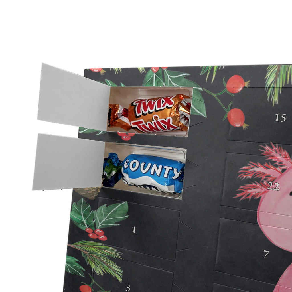  aksolotl null Axolotl, Molch