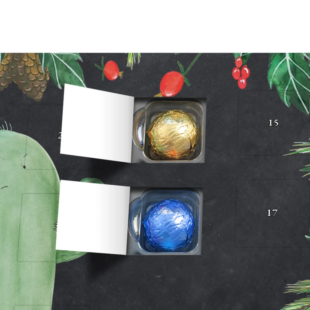  Kaktus gniew Kaktusy