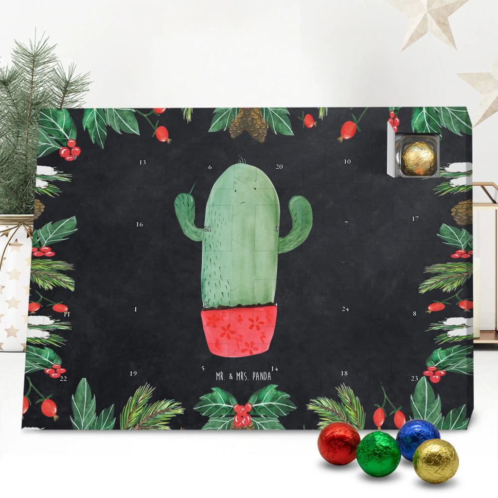 Chocolate advent calendar cactus Fury cactus, cactuses, plants, small green cactus, cactus plant, colleague, angry, annoy, office life, school