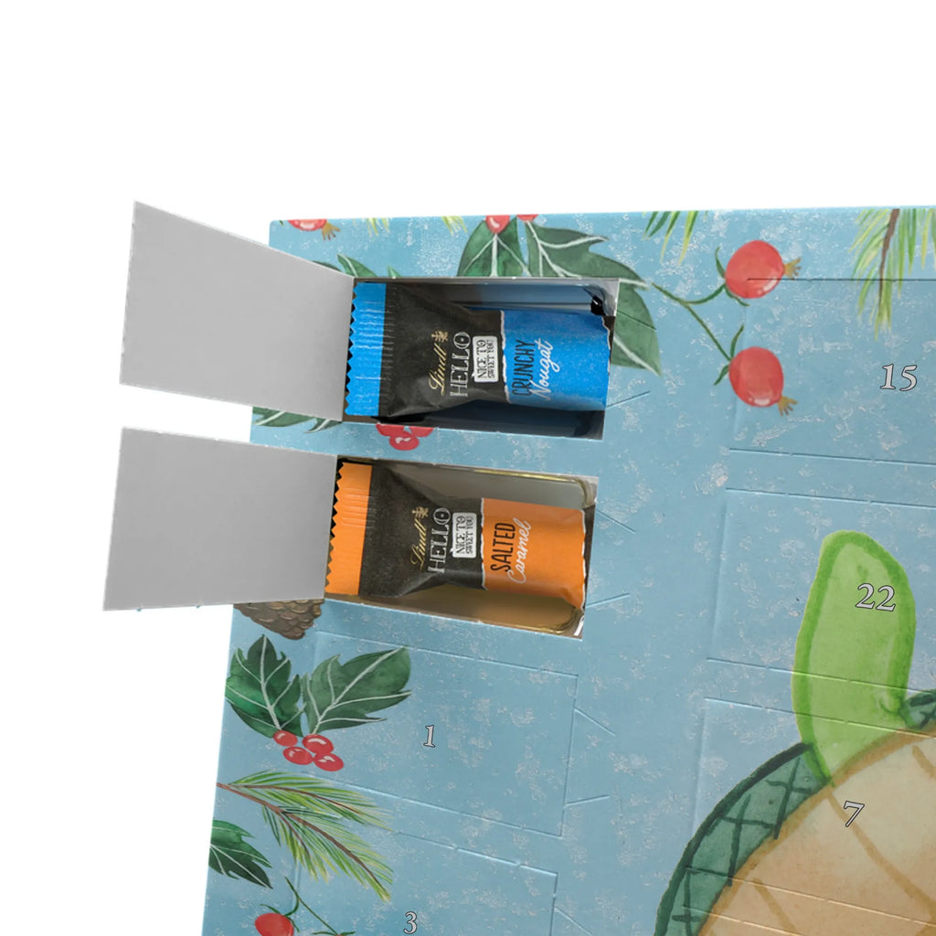  żółwie para przyjaciel, dzień ślubu, żona, prezent miłosny, rocznica, zaręczyny, mąż, Miłość, prośba o rękę, wesele, przyjaciółka