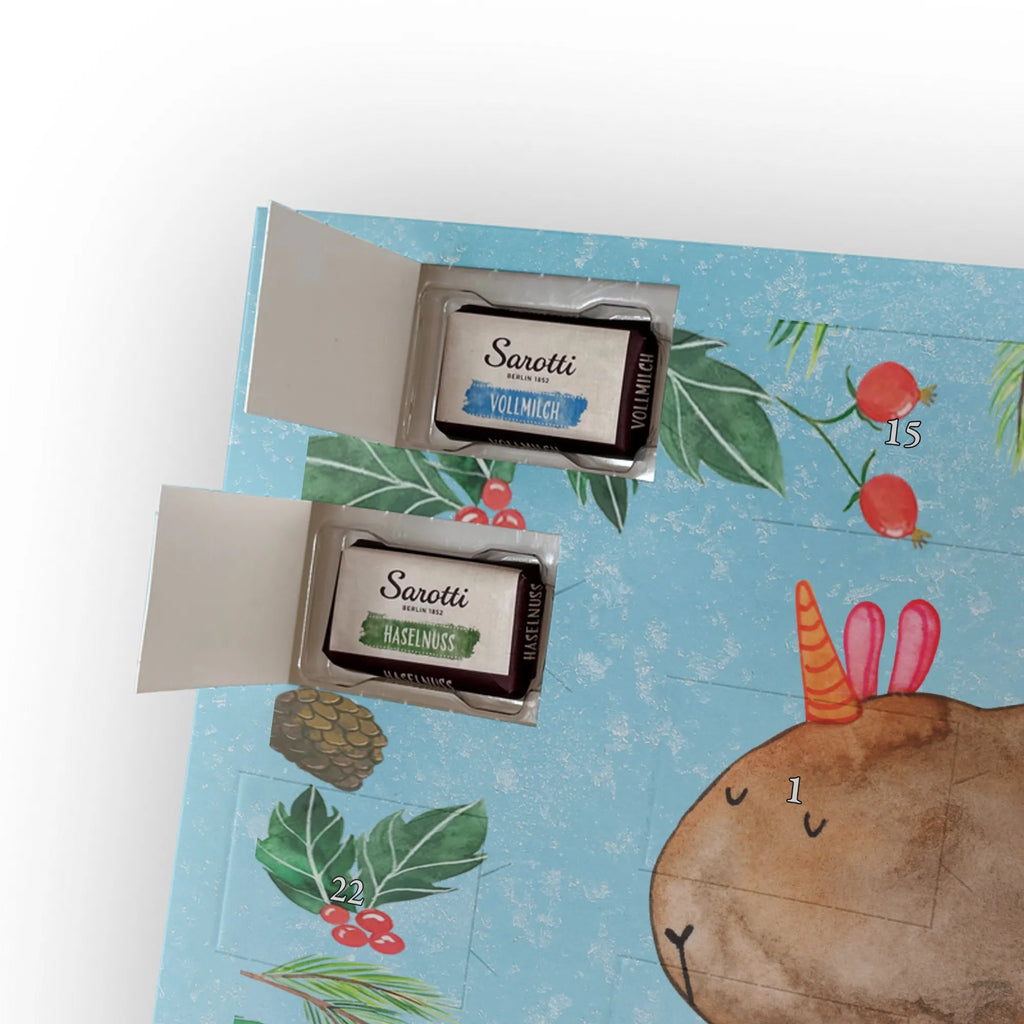 Chocolate advent calendar unicorn Guinea pig guinea pig, squirrels