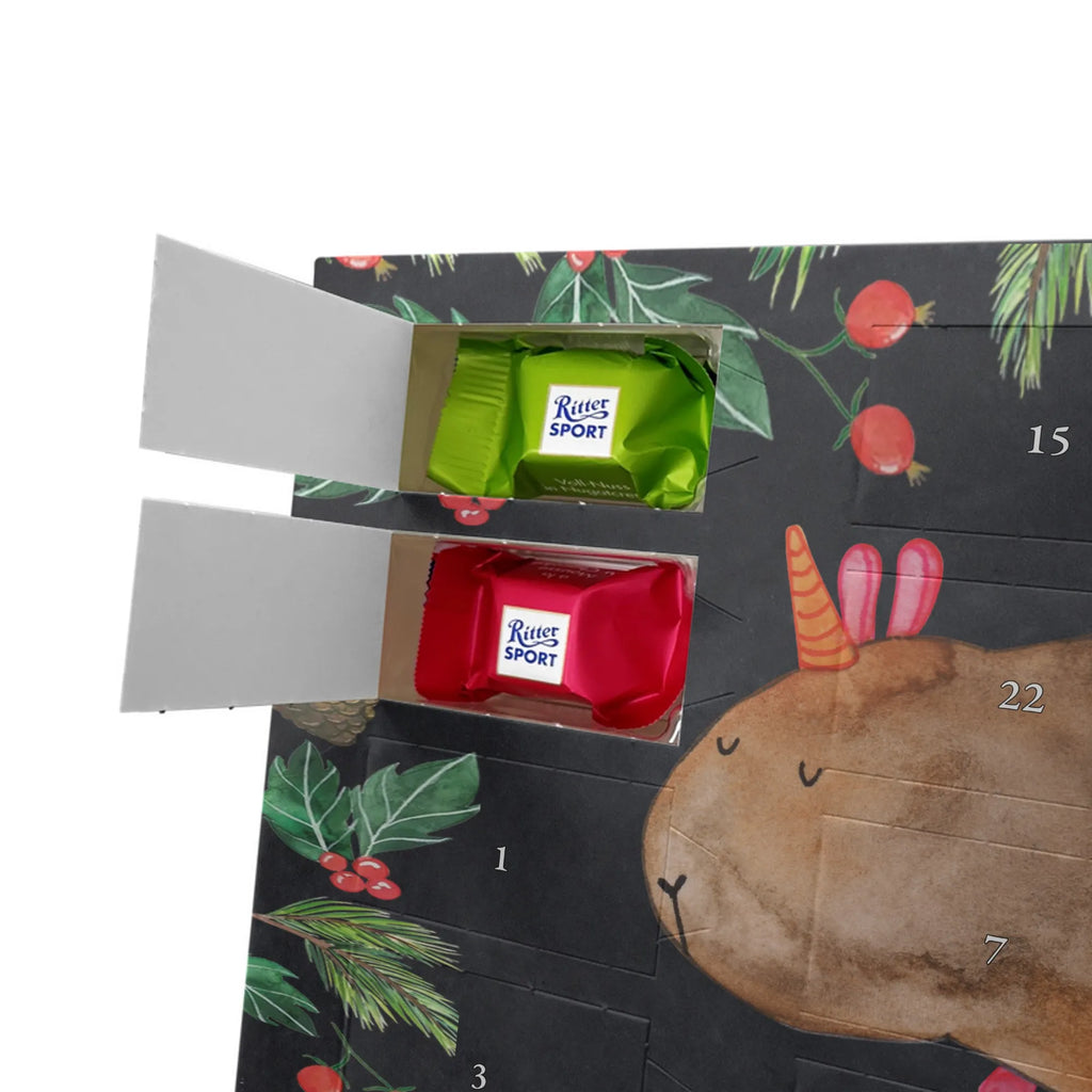 Chocolate advent calendar unicorn Guinea pig guinea pig, squirrels