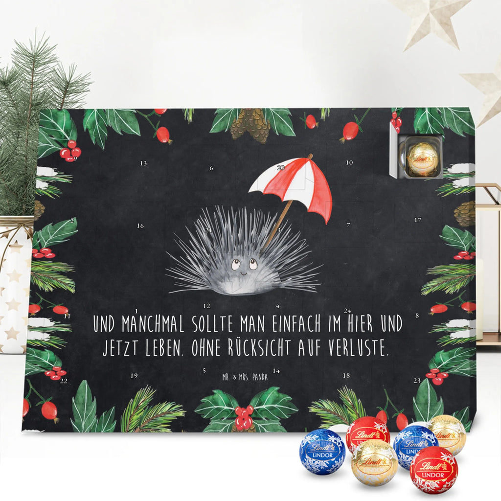 Schokoladen-Adventskalender Seeigel Weihnachtskalender Schokolade, Schokoladen Adventskalender, schoko kalender, Adventskalender Schokolade, schoko weihnachtskalender, Weihnachtskalender, süßigkeiten kalender, schokokalender, kalender schokolade, adventskalender pralinen, Schoko-Adventskalender, schokoladenkalender, schokolade adventskalender, weihnachtskalender schoko, Weihnachts Kalender, süßigkeiten adventskalender, pralinen adventskalender, Schokoladen-Adventskalender, adventskalender süßigkeiten, Adventskalender, Schoko Adventskalender, kalender weihnachten, Weihnachten Adventskalender, Schokoladen-Weihnachtskalender, schokoladen kalender, adventskalender schoko, Urlaub, Meerestiere, Meer, Achtsamkeit, Selbstliebe, Hier und Jetzt, Seeigel, Selbstakzeptanz, Leben, Lebe