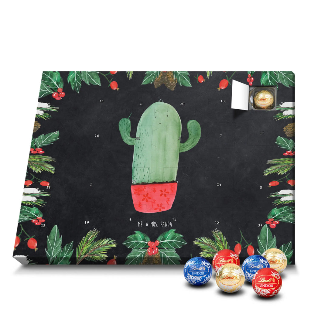 Chocolate advent calendar cactus Fury cactus, cactuses, plants, small green cactus, cactus plant, colleague, angry, annoy, office life, school