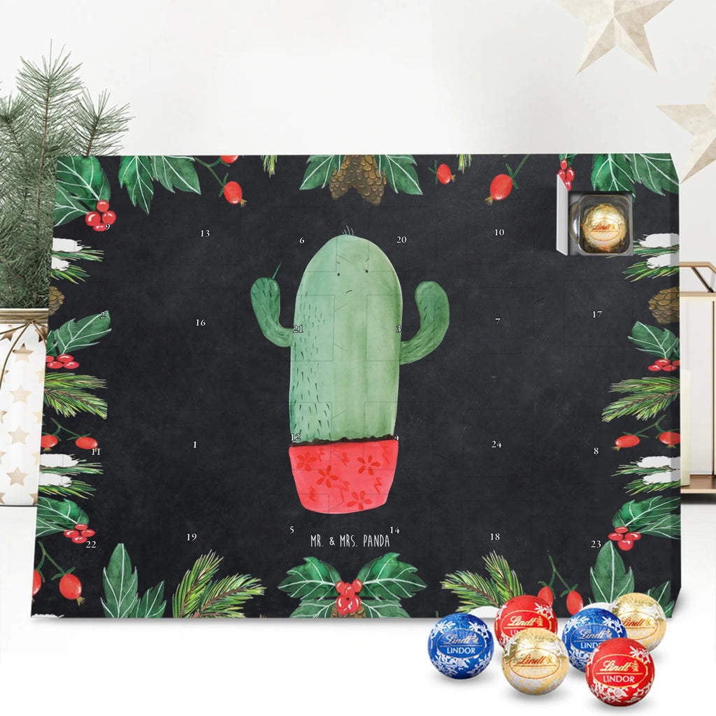  Kaktus gniew Kaktusy