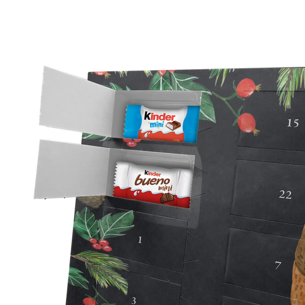 Schoko-Adventskalender Bär Prüfung schokokalender, kalender schokolade, süßigkeiten adventskalender, schokoladen kalender, weihnachtskalender schoko, Schokoladen Adventskalender, Weihnachten Adventskalender, schokolade adventskalender, Adventskalender Schokolade, pralinen adventskalender, schoko kalender, Schokoladen-Adventskalender, adventskalender süßigkeiten, Adventskalender, Schokoladen-Weihnachtskalender, Schoko Adventskalender, adventskalender pralinen, Weihnachts Kalender, Weihnachtskalender, Weihnachtskalender Schokolade, adventskalender schoko, Schoko-Adventskalender, schokoladenkalender, süßigkeiten kalender, schoko weihnachtskalender, kalender weihnachten, Teddybär, Teddy, Bär, Zeugnis, Prüfungen, Abschluss, Abitur, Prüfung Bestanden, Abschlusszeugnis