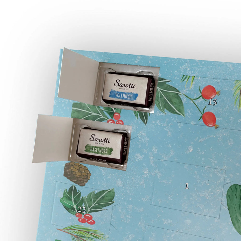  Kaktus gniew Kaktusy