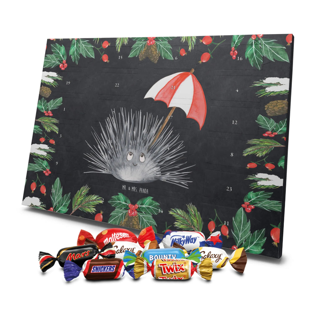Schokoladen-Adventskalender Seeigel Weihnachtskalender Schokolade, Schokoladen Adventskalender, schoko kalender, Adventskalender Schokolade, schoko weihnachtskalender, Weihnachtskalender, süßigkeiten kalender, schokokalender, kalender schokolade, adventskalender pralinen, Schoko-Adventskalender, schokoladenkalender, schokolade adventskalender, weihnachtskalender schoko, Weihnachts Kalender, süßigkeiten adventskalender, pralinen adventskalender, Schokoladen-Adventskalender, adventskalender süßigkeiten, Adventskalender, Schoko Adventskalender, kalender weihnachten, Weihnachten Adventskalender, Schokoladen-Weihnachtskalender, schokoladen kalender, adventskalender schoko, Urlaub, Meerestiere, Meer, Achtsamkeit, Selbstliebe, Hier und Jetzt, Seeigel, Selbstakzeptanz, Leben, Lebe