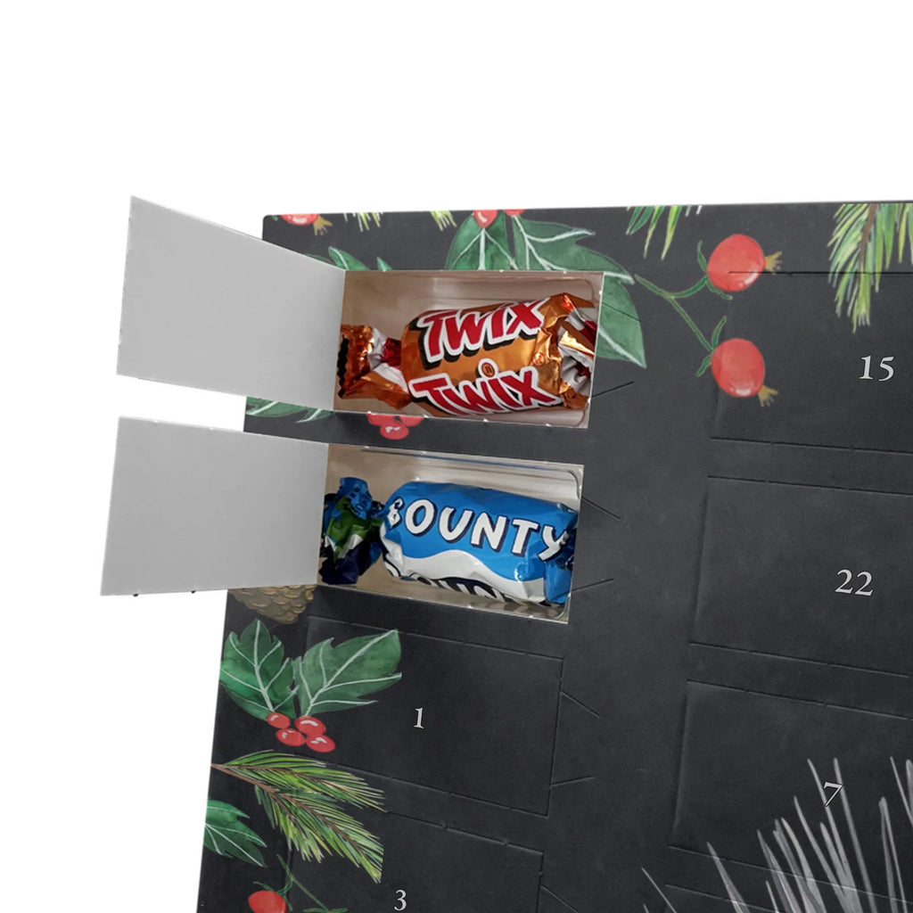 Chocolate advent calendar Sea urchins vacation, seafood posters, lobster, deep sea, corals, seafood decoration, shells, Seafood, whale, platypus, reef, gifts for seafood lovers, gift ideas, water world, ocean, crocodile, manatee, aquatic animals, sea urchin, shrimp, underwater world, narwhal, underwater animals, seafood fans, living, self-acceptance, sea urchins, self-love, mindfulness, here and now