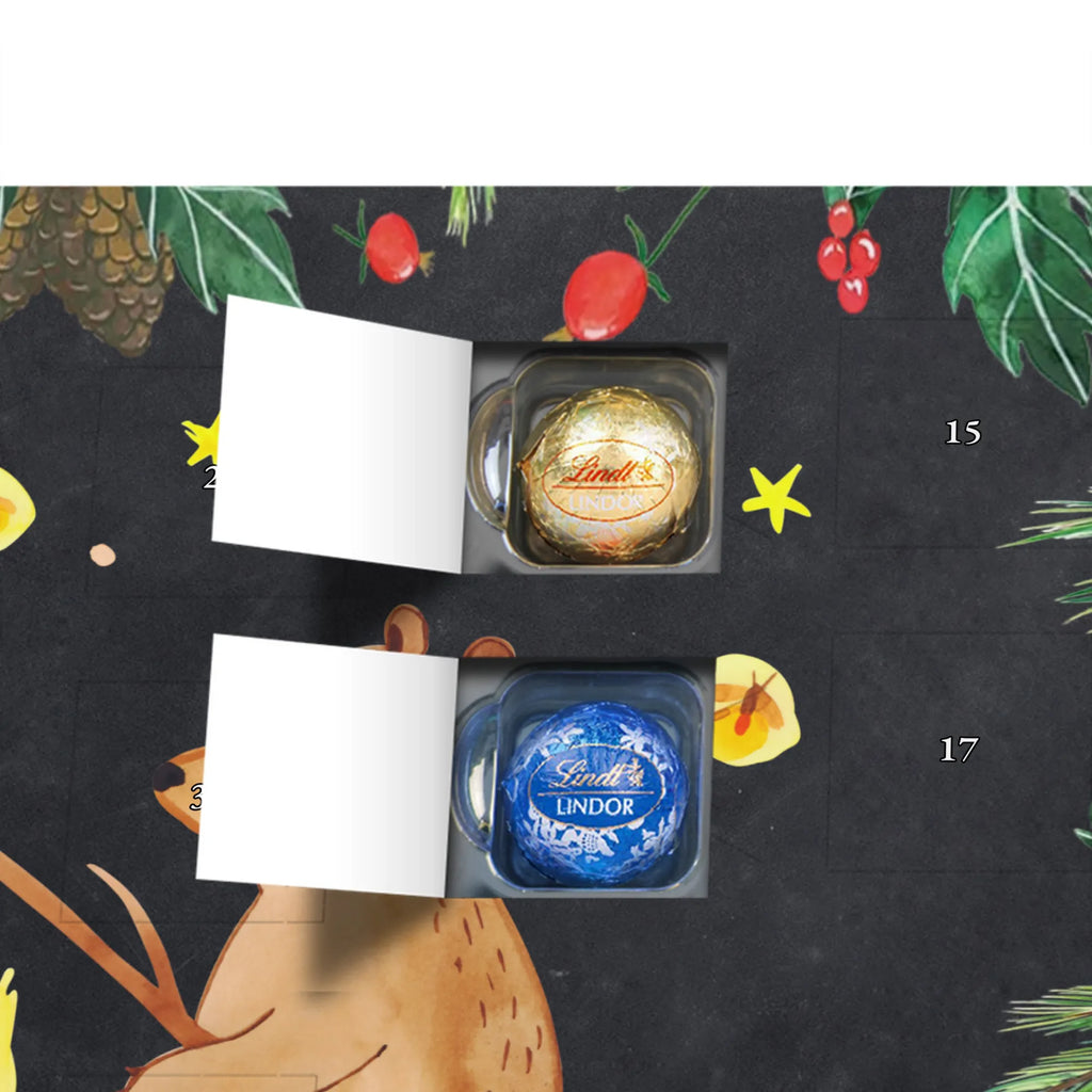 Chocolate advent calendar Bear & Ladybird campfire cuddly toy, teddy bear, Campfire