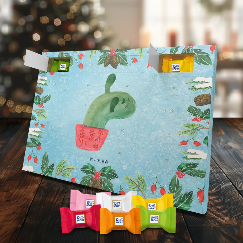 Chocolate advent calendar cactus mummy cactus, cactuses, plants, small green cactus, cactus plant, cactus love, cacti, office life, school, quota, annoyance