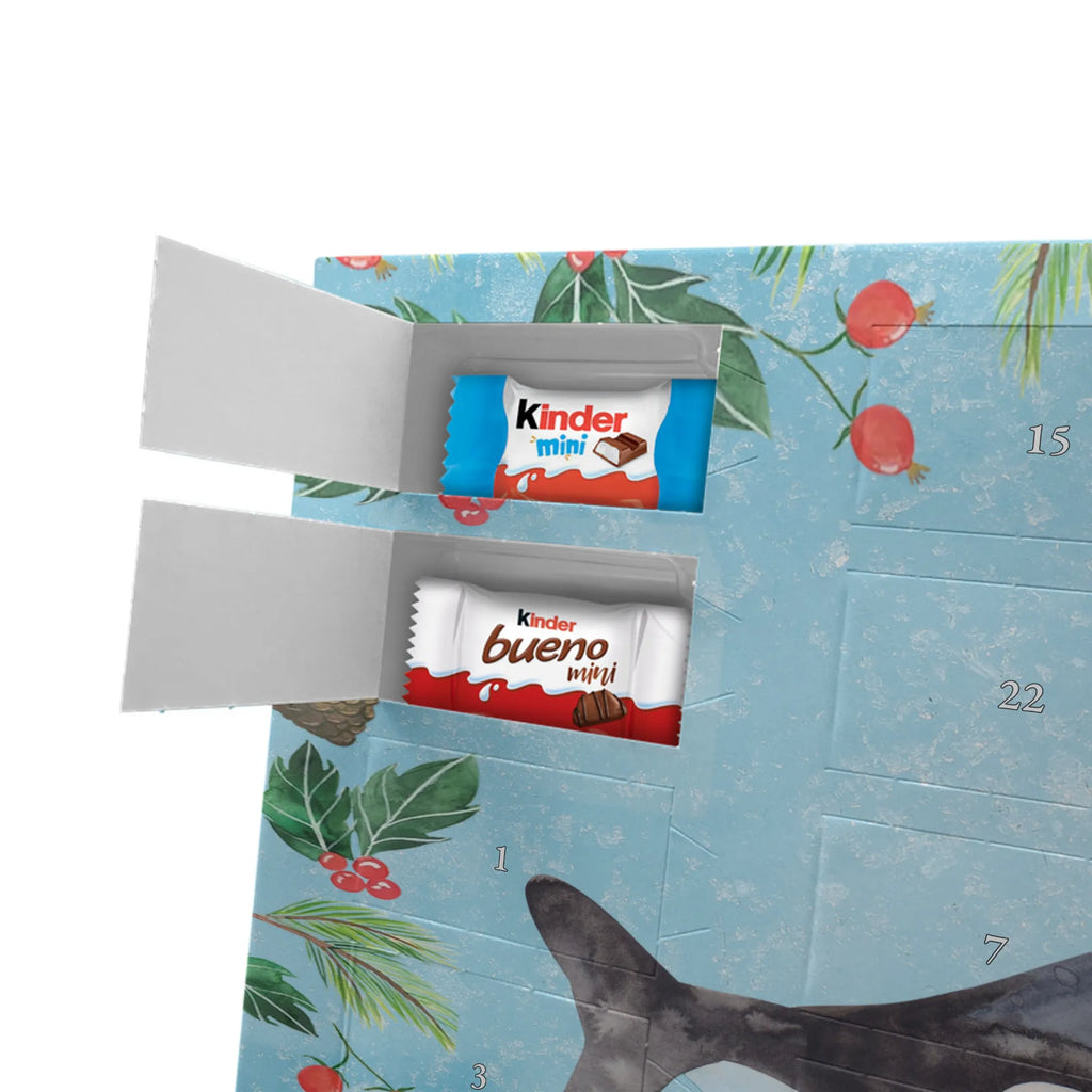 Chocolate advent calendar Orca manatee, vacation, aquatic animals, deep sea, underwater animals, seafood fans, underwater world, seafood posters, seafood decoration, whale, reef, water world, lobster, sea urchin, gift ideas, shrimp, narwhal, corals, gifts for seafood lovers, platypus, crocodile, shells, Seafood, ocean, self-love, new start, work, killer whale, opportunities