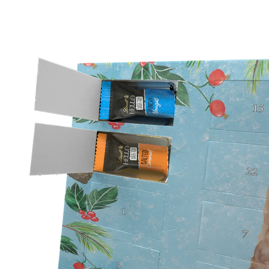 Chocolate advent calendar alpaca banner pako, camel, llama, animal, alpaca, favourite animal, Peru, alpacas, Alpaca, llamas