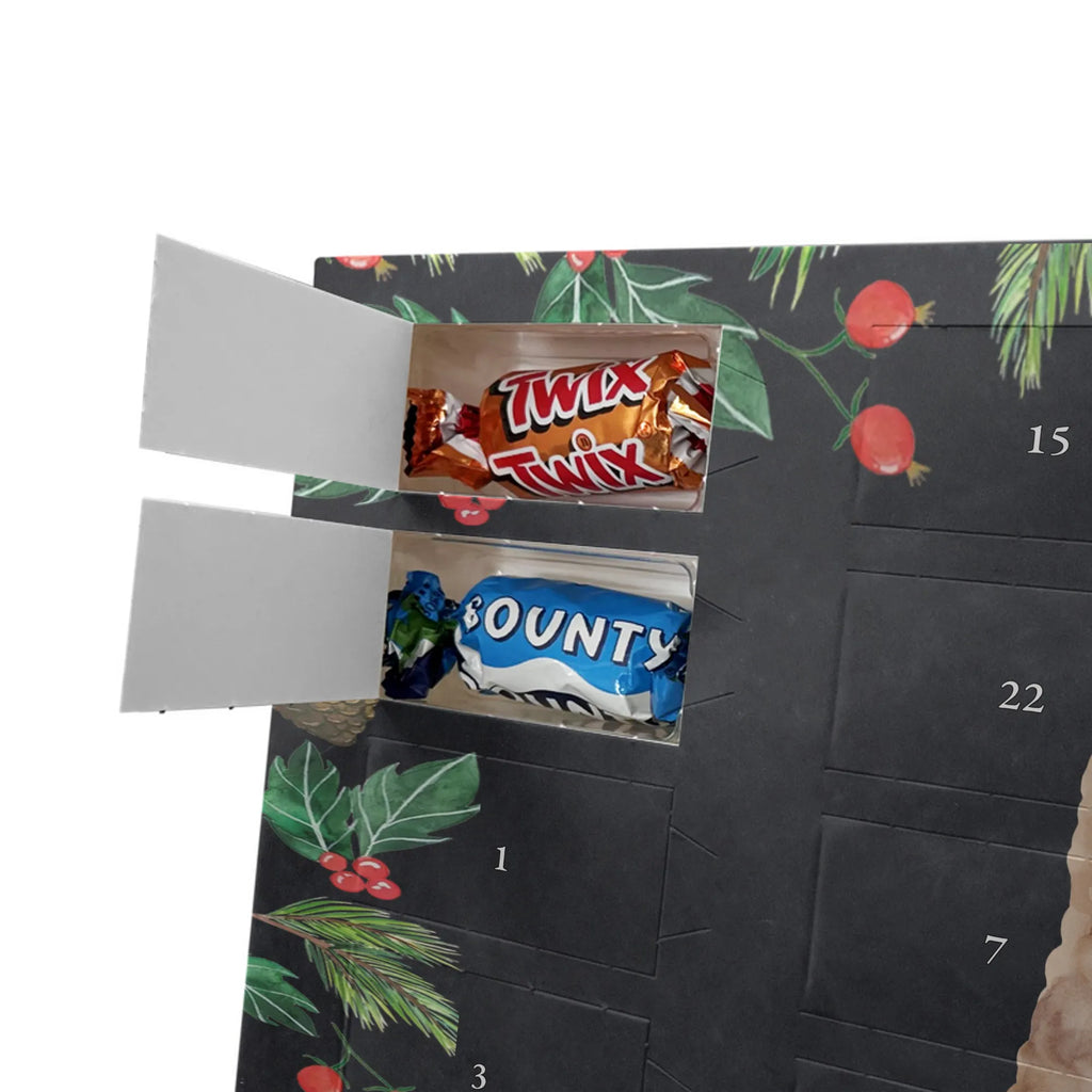 Chocolate advent calendar alpaca banner pako, camel, llama, animal, alpaca, favourite animal, Peru, alpacas, Alpaca, llamas