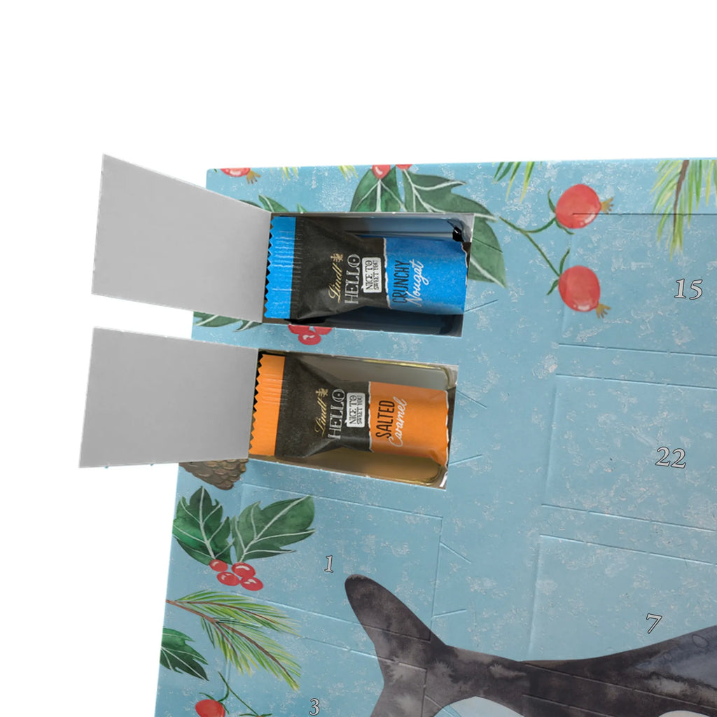Chocolate advent calendar Orca manatee, vacation, aquatic animals, deep sea, underwater animals, seafood fans, underwater world, seafood posters, seafood decoration, whale, reef, water world, lobster, sea urchin, gift ideas, shrimp, narwhal, corals, gifts for seafood lovers, platypus, crocodile, shells, Seafood, ocean, self-love, new start, work, killer whale, opportunities