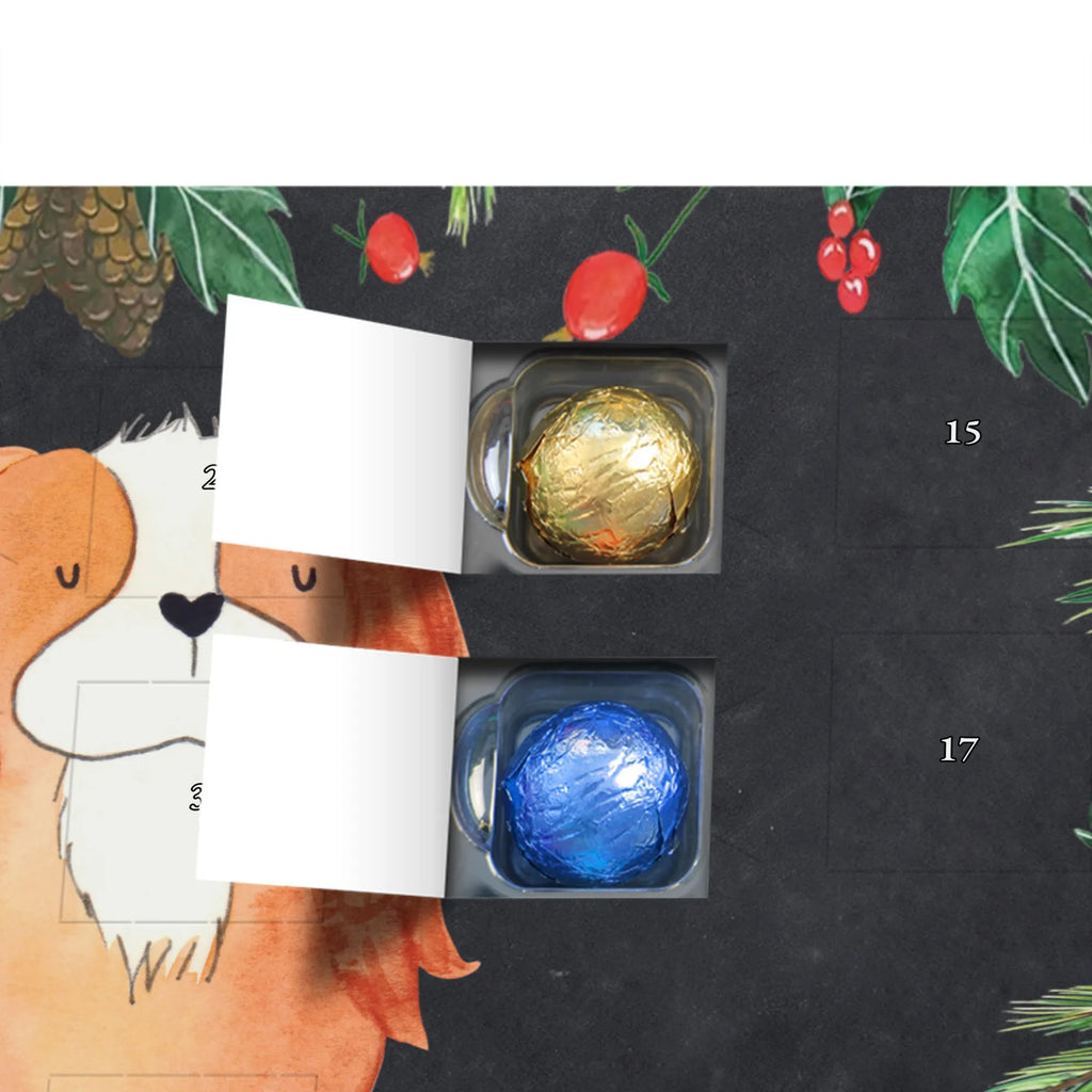 süßigkeiten adventskalender Hund Cavalier King Charles Spaniel Schokoladen-Adventskalender, kalender schokolade, süßigkeiten adventskalender, Weihnachtskalender, Schoko-Adventskalender, pralinen adventskalender, süßigkeiten kalender, Weihnachtskalender Schokolade, Schokoladen Adventskalender, adventskalender schoko, schoko kalender, Schokoladen-Weihnachtskalender, Weihnachts Kalender, schokoladenkalender, schokoladen kalender, adventskalender süßigkeiten, adventskalender pralinen, schokolade adventskalender, Adventskalender Schokolade, kalender weihnachten, Weihnachten Adventskalender, weihnachtskalender schoko, Adventskalender, schoko weihnachtskalender, schokokalender, Schoko Adventskalender, Tierliebhaber, Hundebesitzer, Hunderasse, Haustier, Hund, Sprüche, Hundemotiv, Spaniel, Spruch, Cavalier King Charles Spaniel, Cockerspaniel, Schönster Hund