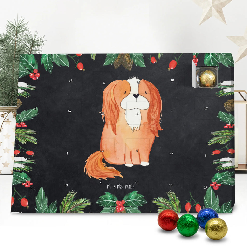 süßigkeiten adventskalender Hund Cavalier King Charles Spaniel Schokoladen-Adventskalender, kalender schokolade, süßigkeiten adventskalender, Weihnachtskalender, Schoko-Adventskalender, pralinen adventskalender, süßigkeiten kalender, Weihnachtskalender Schokolade, Schokoladen Adventskalender, adventskalender schoko, schoko kalender, Schokoladen-Weihnachtskalender, Weihnachts Kalender, schokoladenkalender, schokoladen kalender, adventskalender süßigkeiten, adventskalender pralinen, schokolade adventskalender, Adventskalender Schokolade, kalender weihnachten, Weihnachten Adventskalender, weihnachtskalender schoko, Adventskalender, schoko weihnachtskalender, schokokalender, Schoko Adventskalender, Tierliebhaber, Hundebesitzer, Hunderasse, Haustier, Hund, Sprüche, Hundemotiv, Spaniel, Spruch, Cavalier King Charles Spaniel, Cockerspaniel, Schönster Hund