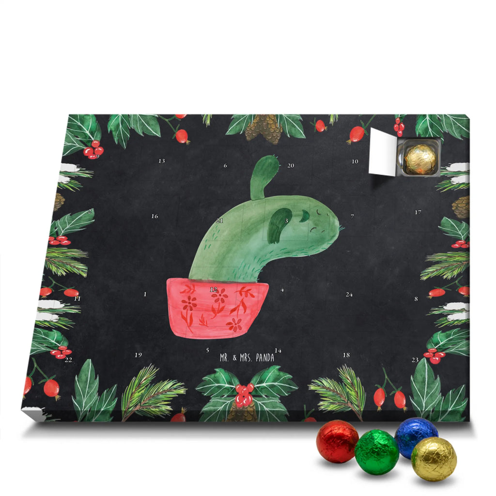 Chocolate advent calendar cactus mummy cactus, cactuses, plants, small green cactus, cactus plant, cactus love, cacti, office life, school, quota, annoyance