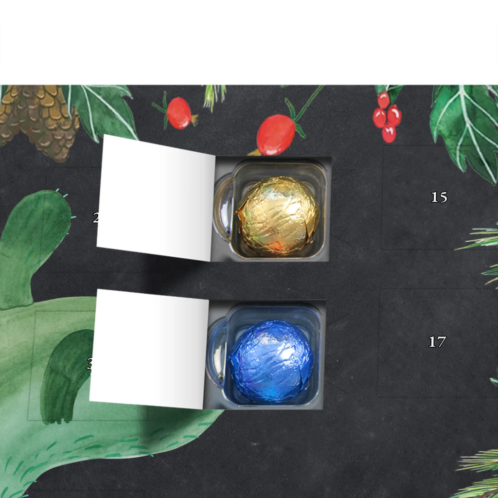 Chocolate advent calendar cactus mummy cactus, cactuses, plants, small green cactus, cactus plant, cactus love, cacti, office life, school, quota, annoyance