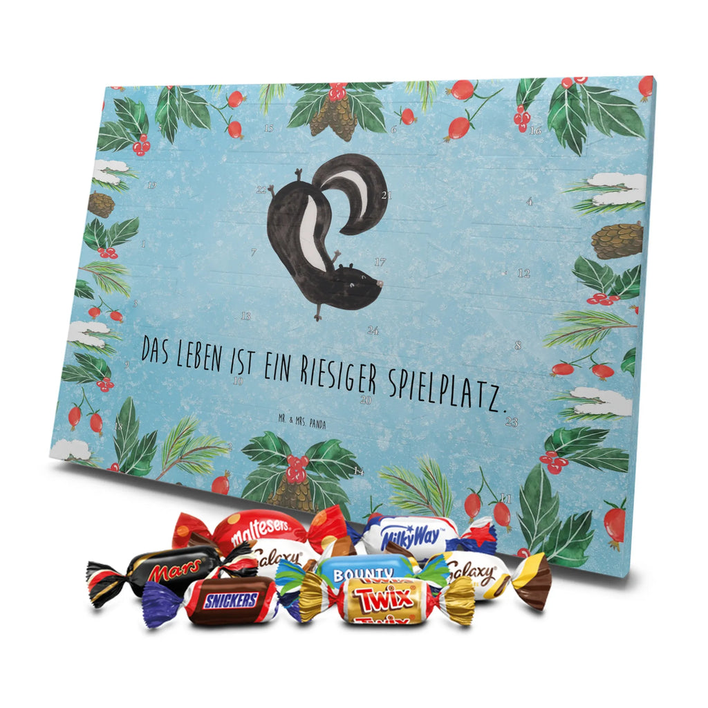 Chocolate advent calendar skunk handstand child, stink, playful, playground, wild animal, predator