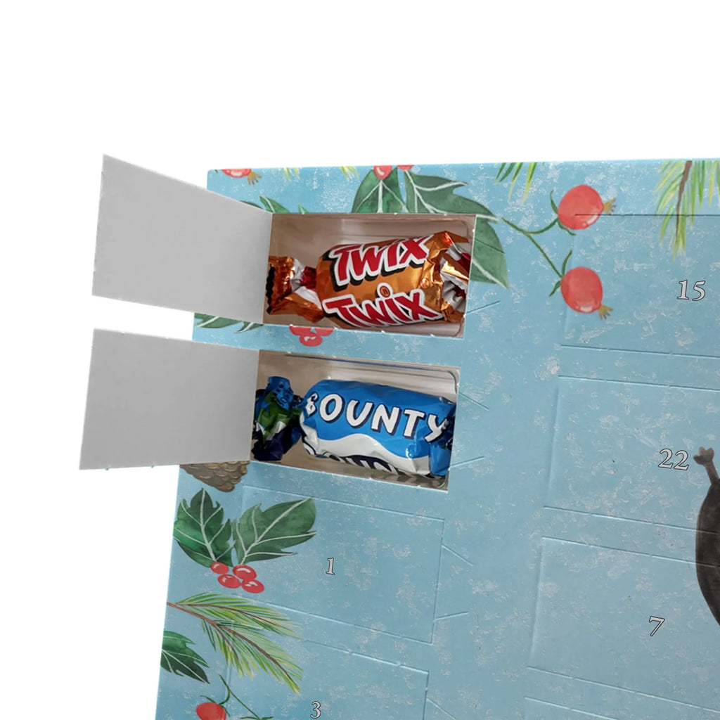 Chocolate advent calendar skunk handstand child, stink, playful, playground, wild animal, predator