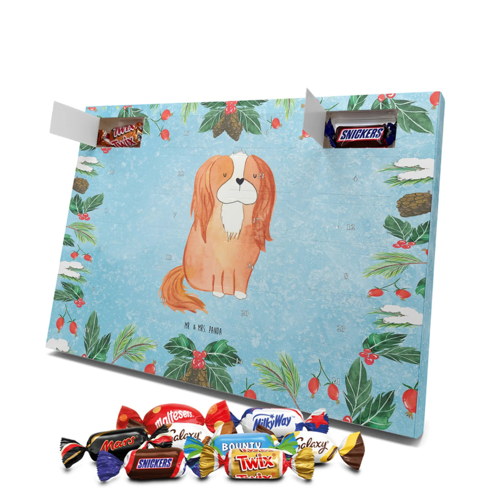 süßigkeiten adventskalender Hund Cavalier King Charles Spaniel Schokoladen-Adventskalender, kalender schokolade, süßigkeiten adventskalender, Weihnachtskalender, Schoko-Adventskalender, pralinen adventskalender, süßigkeiten kalender, Weihnachtskalender Schokolade, Schokoladen Adventskalender, adventskalender schoko, schoko kalender, Schokoladen-Weihnachtskalender, Weihnachts Kalender, schokoladenkalender, schokoladen kalender, adventskalender süßigkeiten, adventskalender pralinen, schokolade adventskalender, Adventskalender Schokolade, kalender weihnachten, Weihnachten Adventskalender, weihnachtskalender schoko, Adventskalender, schoko weihnachtskalender, schokokalender, Schoko Adventskalender, Tierliebhaber, Hundebesitzer, Hunderasse, Haustier, Hund, Sprüche, Hundemotiv, Spaniel, Spruch, Cavalier King Charles Spaniel, Cockerspaniel, Schönster Hund