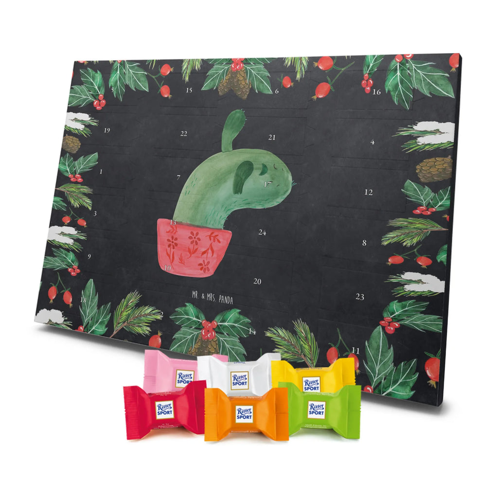 Chocolate advent calendar cactus mummy cactus, cactuses, plants, small green cactus, cactus plant, cactus love, cacti, office life, school, quota, annoyance